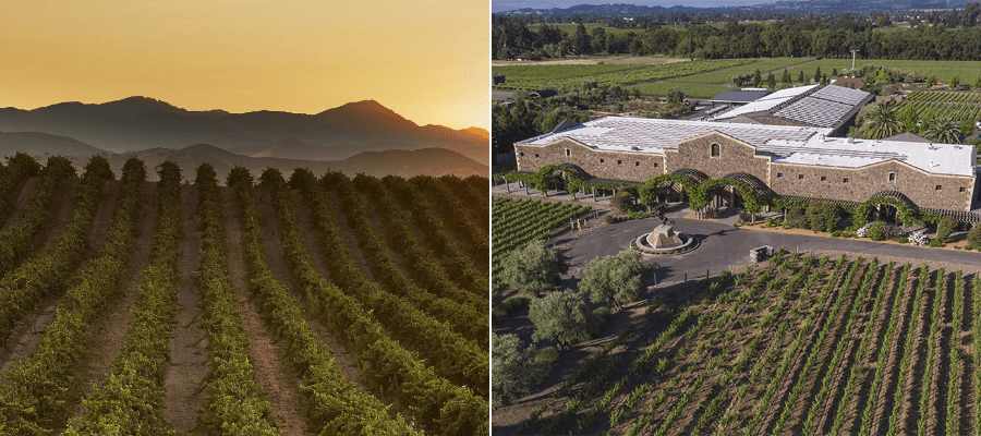 (L-R) San Bernabe Vineyard, Monterey, and Black Stallion Estate Winery